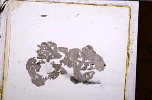 Plane Polarized, E31610