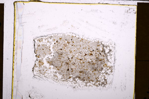 Plane Polarized, E31614