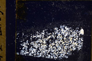 Cross Polarized, E31624