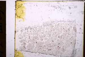 Plane Polarized, E31624