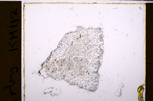 Plane Polarized, E31632