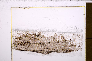 Plane Polarized, E31633