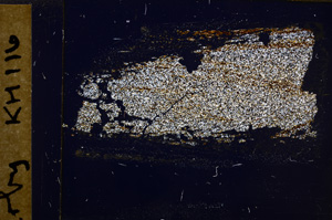 Cross Polarized, E31634