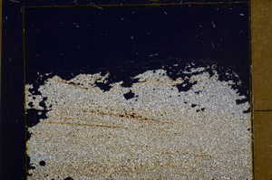 Cross Polarized, E31636