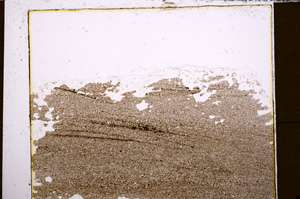 Plane Polarized, E31636