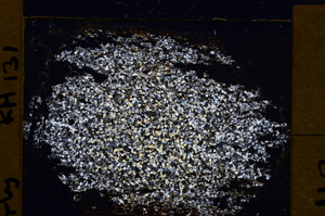 Cross Polarized, E31647