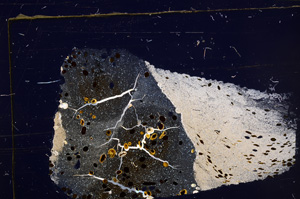 Cross Polarized, E31679