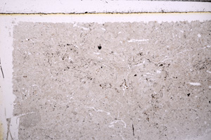 Plane Polarized, E31689