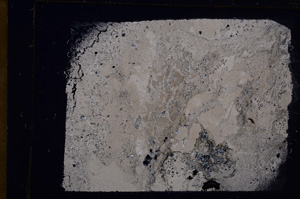 Cross Polarized, E31695