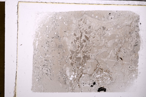 Plane Polarized, E31695