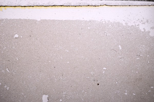 Plane Polarized, E31697