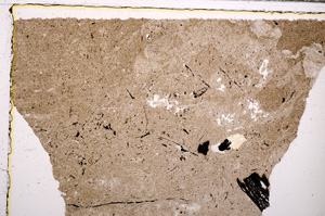 Plane Polarized, E31710