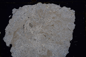 Cross Polarized, E31753