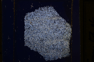 Cross Polarized, E31859