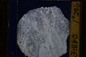 Cross Polarized, E31860