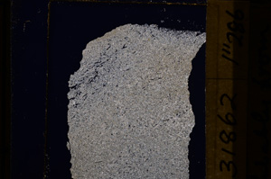 Cross Polarized, E31862