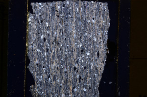 Cross Polarized, E31912