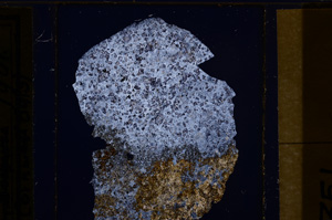 Cross Polarized, E31918