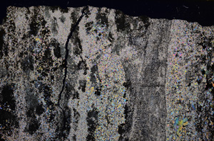 Cross Polarized, E31965