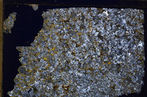 Cross Polarized, E31970