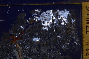 Cross Polarized, E31972