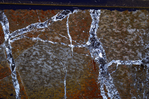 Cross Polarized, E31973