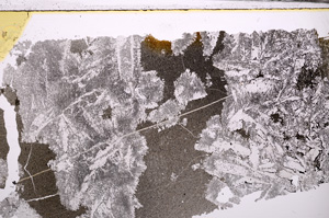 Plane Polarized, E31975