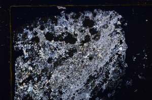 Cross Polarized, E31977