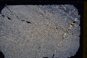 Cross Polarized, E31979