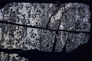 Cross Polarized, E31980