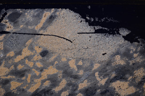 Cross Polarized, E31984