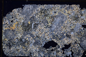 Cross Polarized, E31989