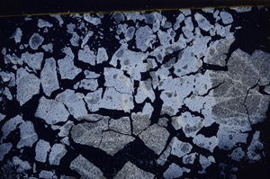 Cross Polarized, E31991