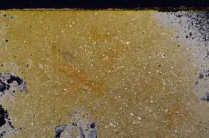 Cross Polarized, E32086