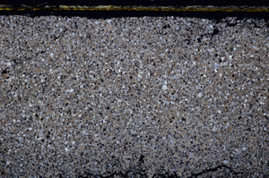 Cross Polarized, E32091