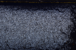 Cross Polarized, E32095