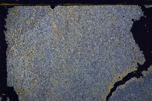 Cross Polarized, E32108