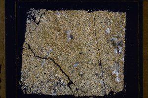 Cross Polarized, E32112