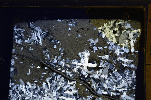 Cross Polarized, E32115