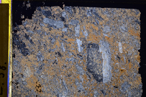 Cross Polarized, E32138