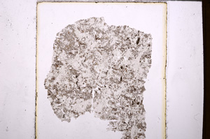 Plane Polarized, E32149