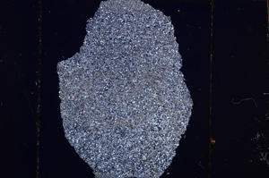 Cross Polarized, E32158