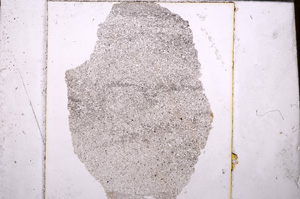 Plane Polarized, E32158