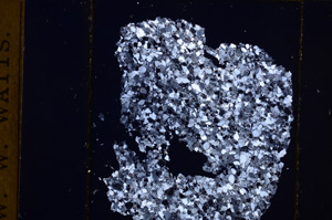 Cross Polarized, E32159