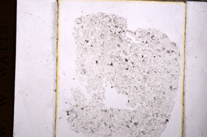 Plane Polarized, E32159