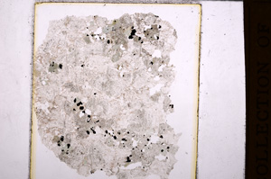 Plane Polarized, E32174