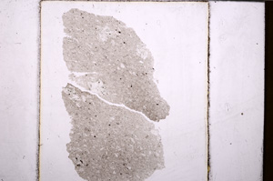 Plane Polarized, E32175