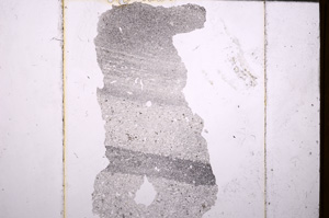 Plane Polarized, E32181