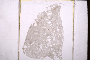 Plane Polarized, E32183