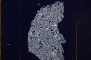 Cross Polarized, E32184